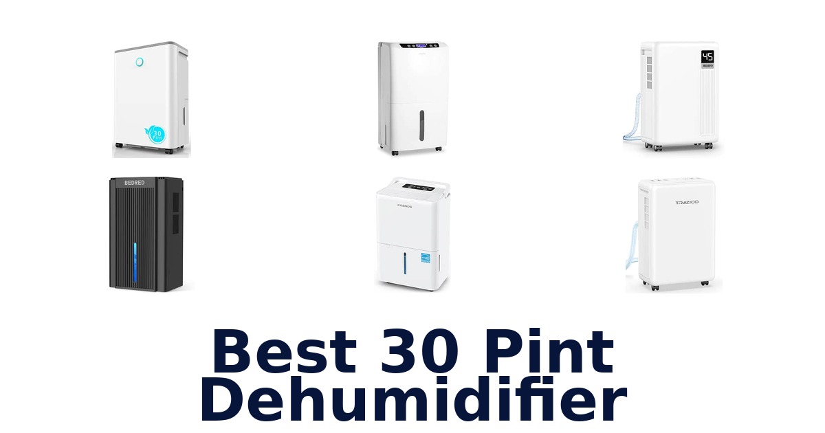 Best 30 Pint Dehumidifier