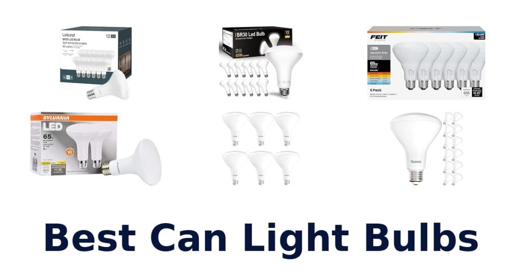 Best Can Light Bulbs