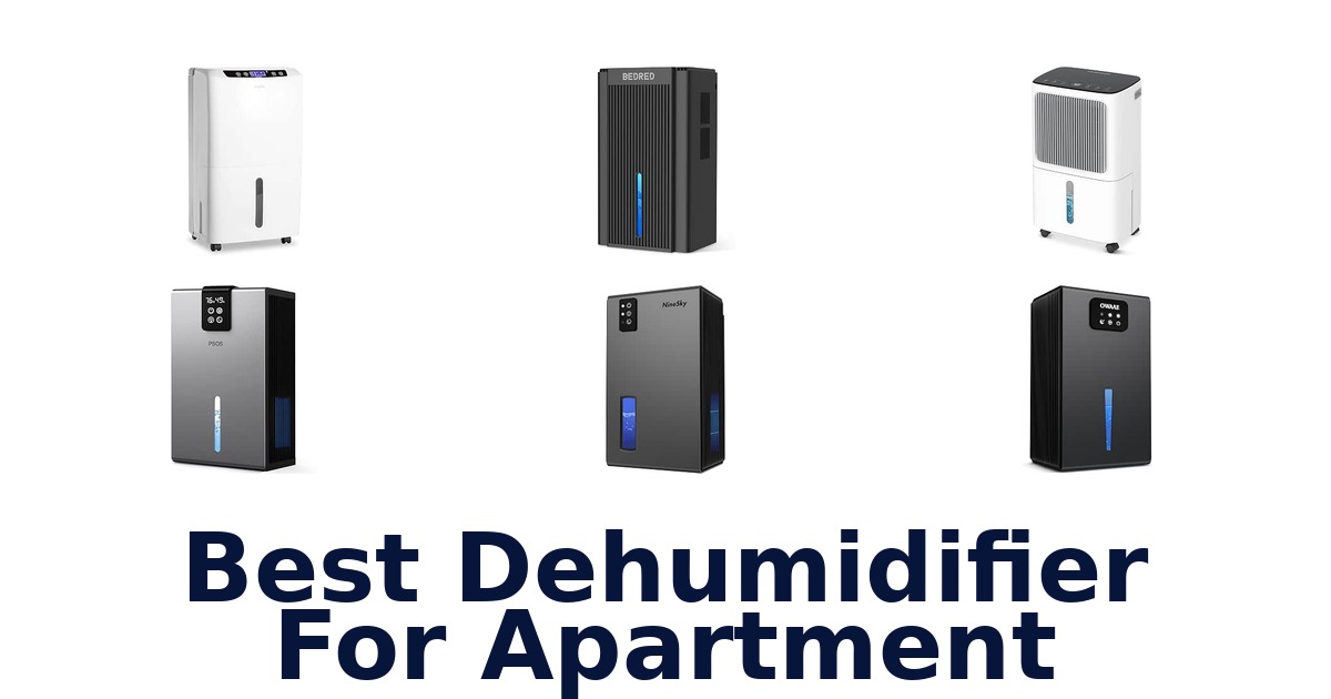 Best Dehumidifier For Apartment