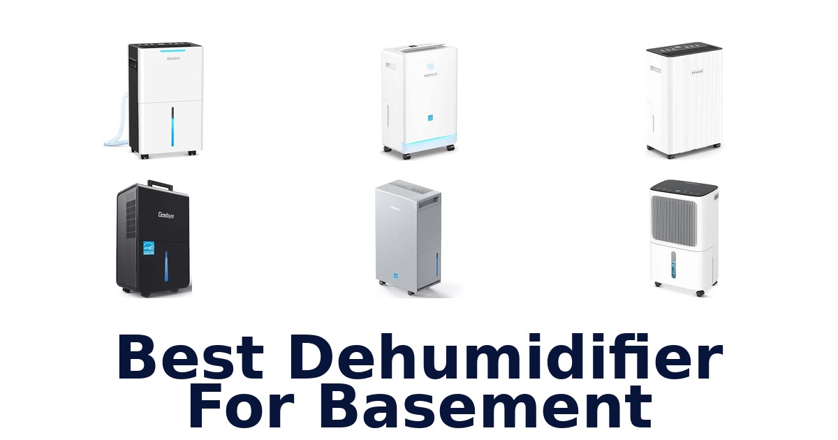 Best Dehumidifier For Basement