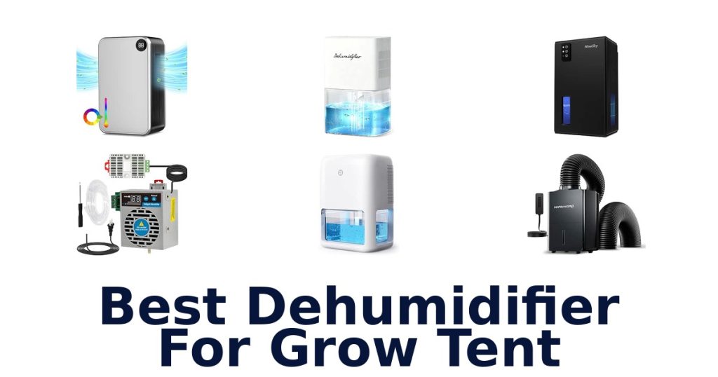 Best Dehumidifier For Grow Tent