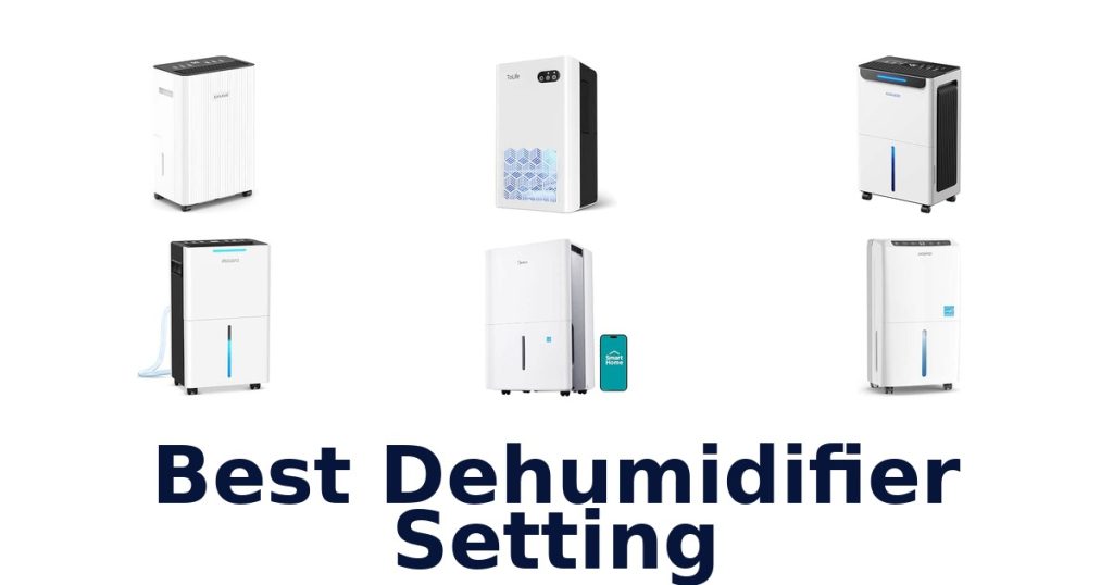 Best Dehumidifier Setting
