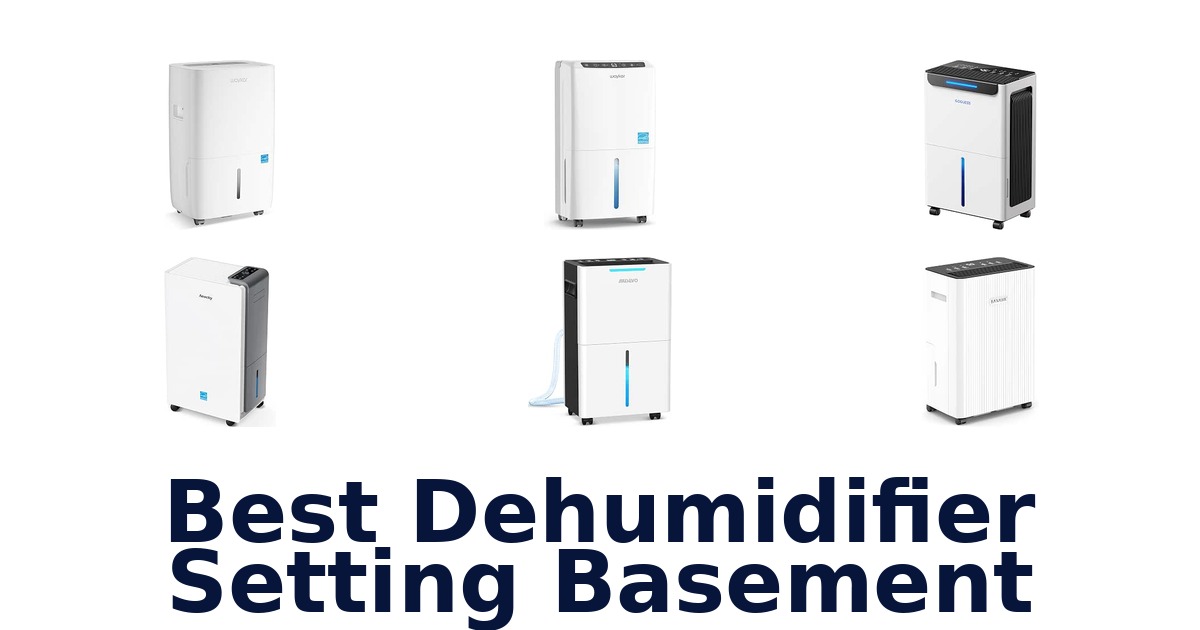 Best Dehumidifier Setting Basement