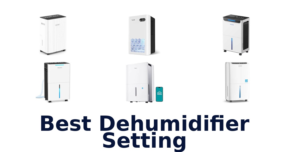 Best Dehumidifier Setting