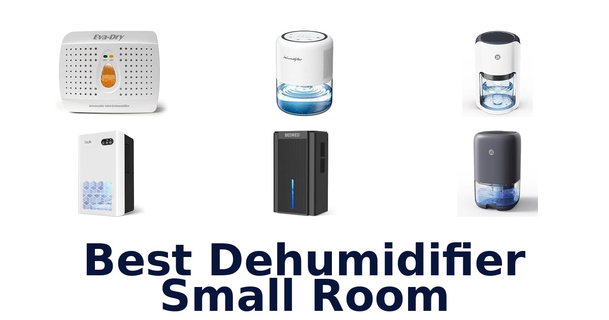 Best Dehumidifier Small Room