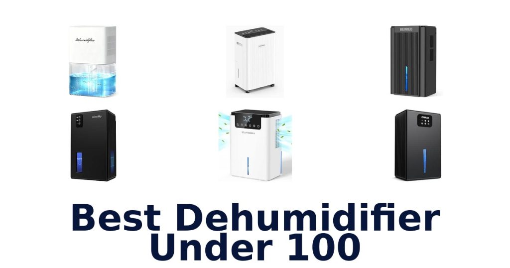 Best Dehumidifier Under 100
