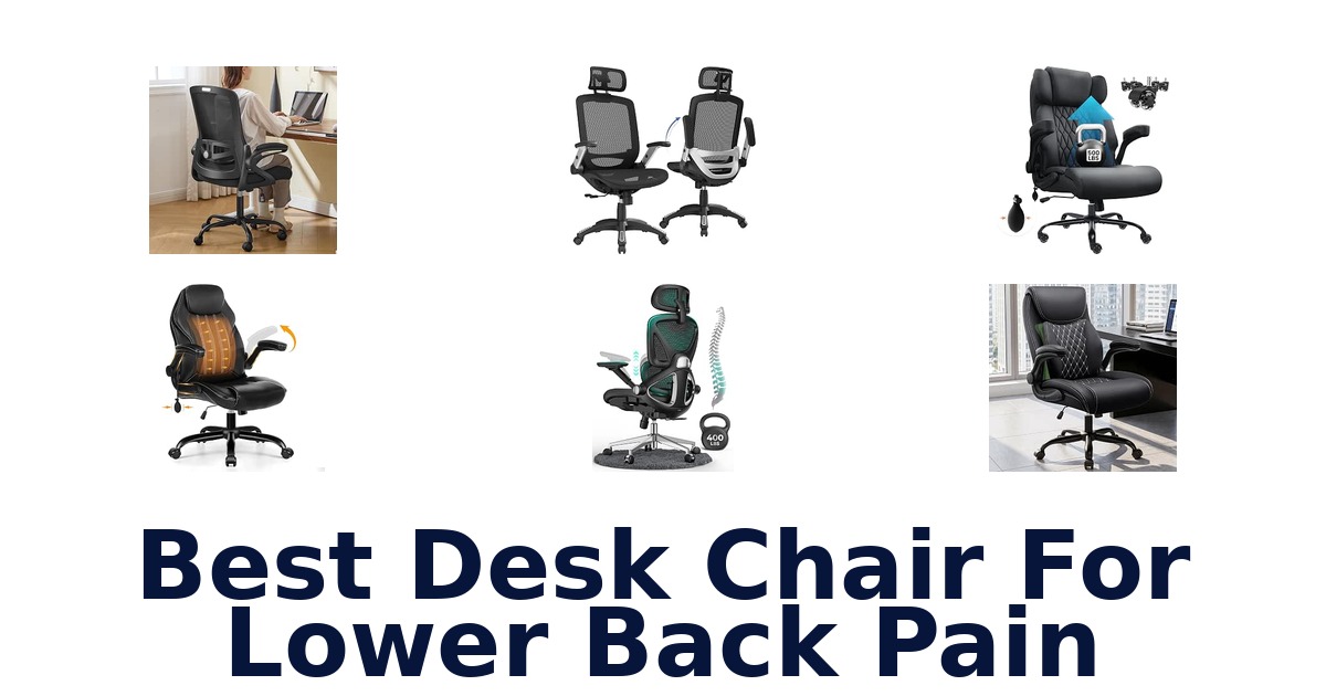 Best Desk Chair For Lower Back Pain