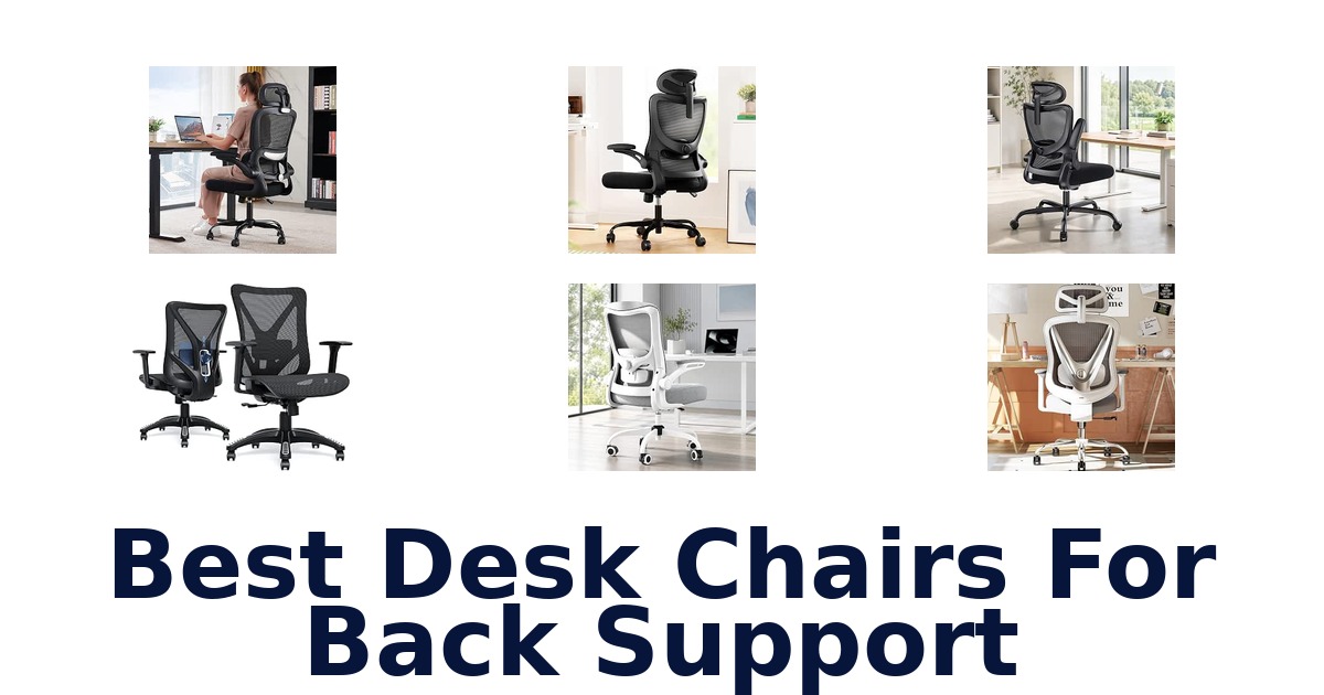 Best Desk Chairs For Back Support