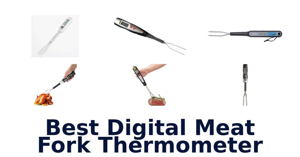 Best Digital Meat Fork Thermometer