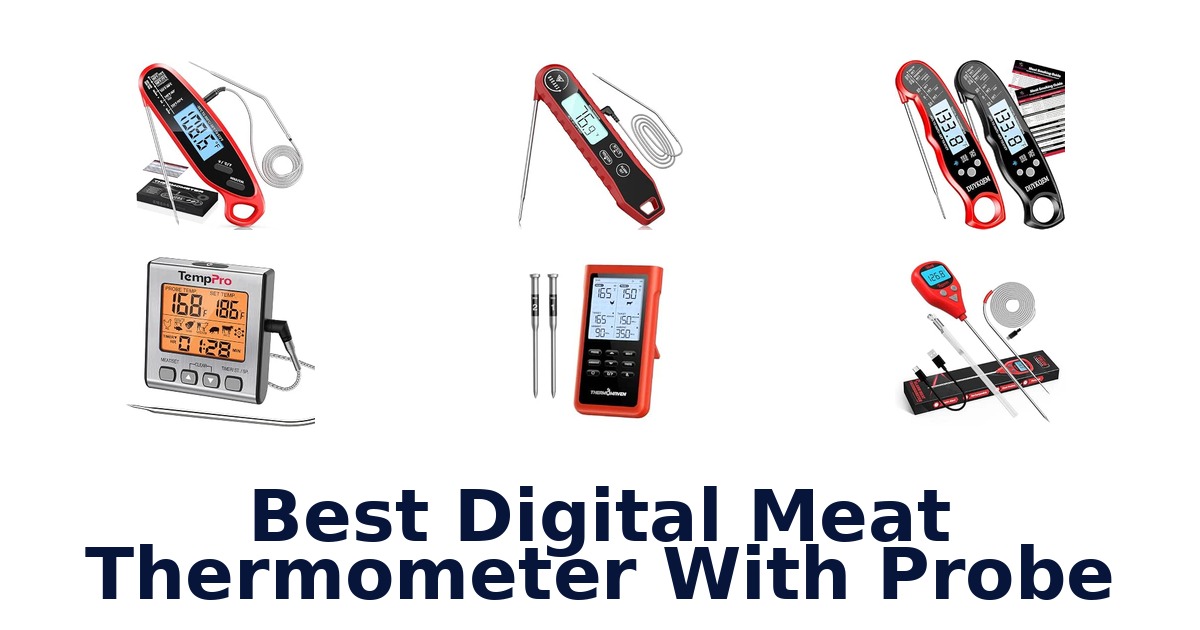 Best Digital Meat Thermometer With Probe