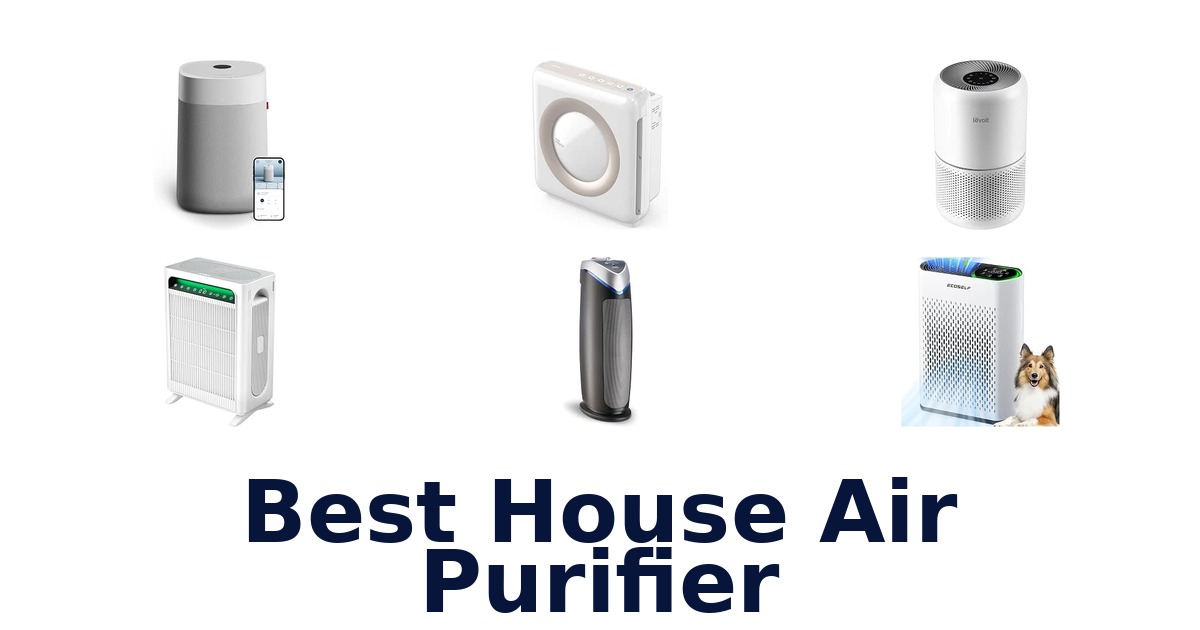 Best House Air Purifier