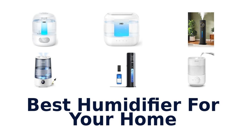Best Humidifier For Your Home