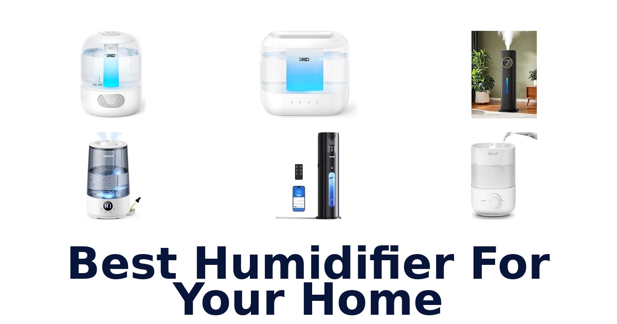 Best Humidifier For Your Home