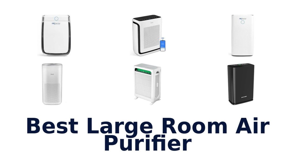 Best Large Room Air Purifier