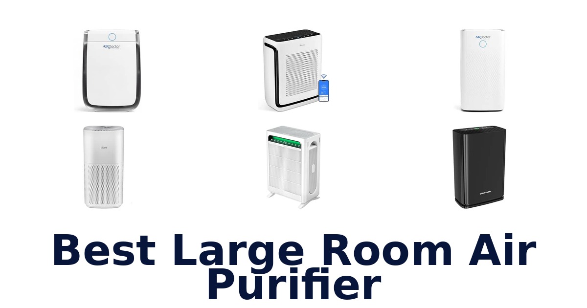 Best Large Room Air Purifier
