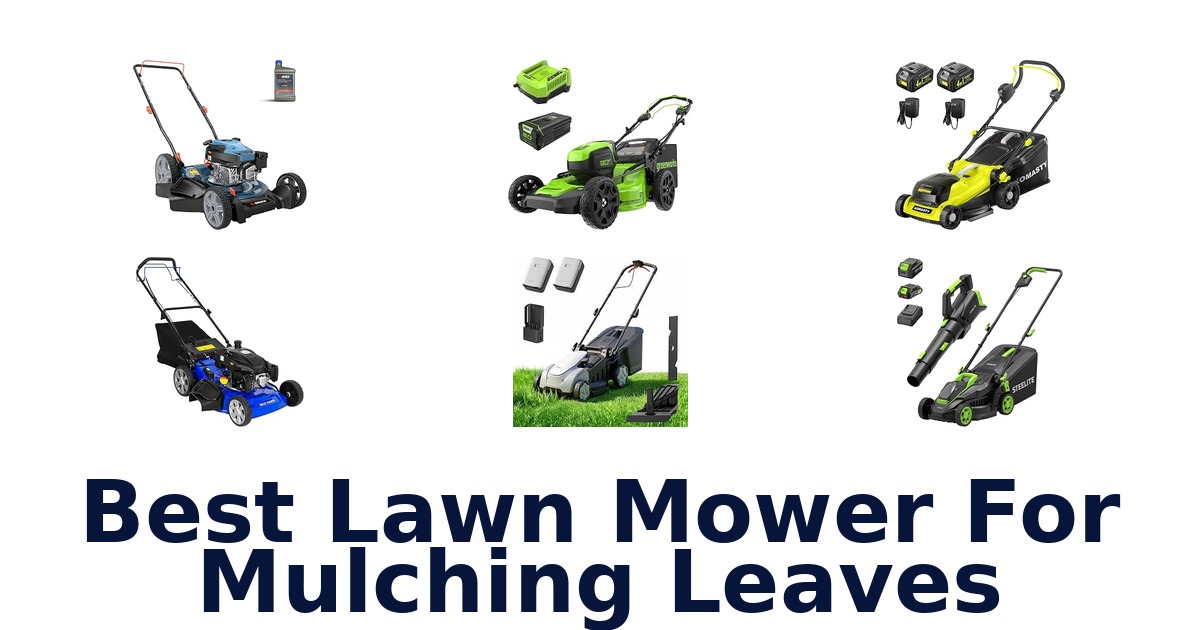 Best Lawn Mower For Mulching Leaves