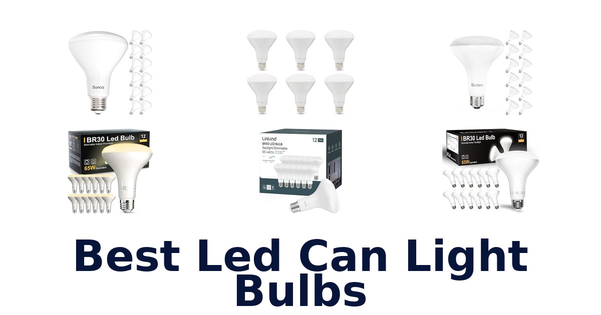 Best Led Can Light Bulbs
