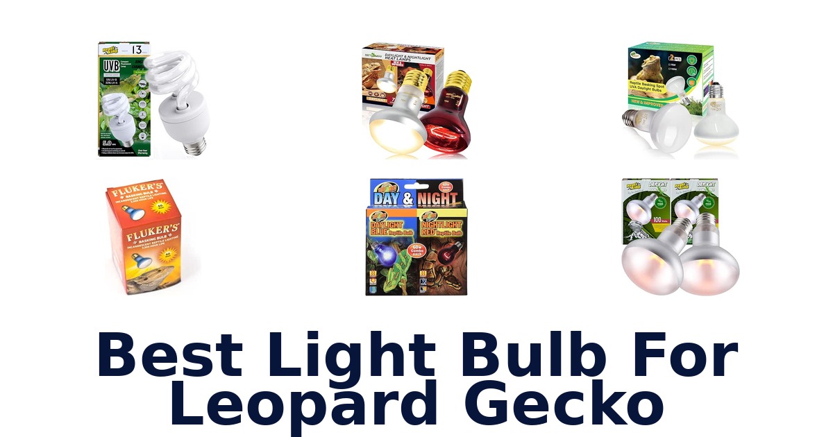 Best Light Bulb For Leopard Gecko