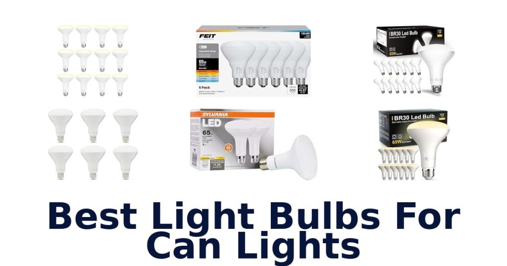 Best Light Bulbs For Can Lights