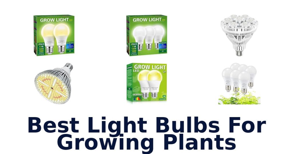 Best Light Bulbs For Growing Plants
