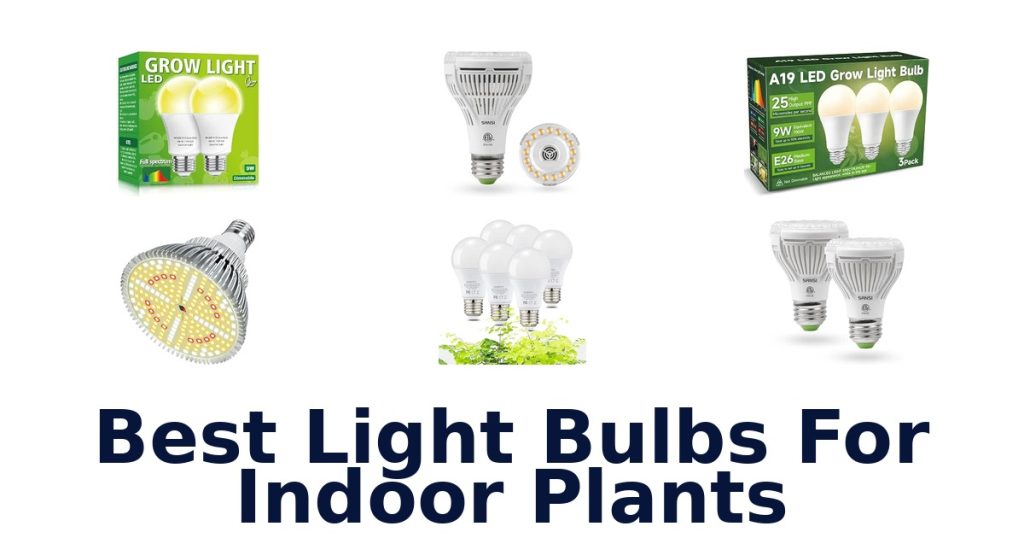 Best Light Bulbs For Indoor Plants