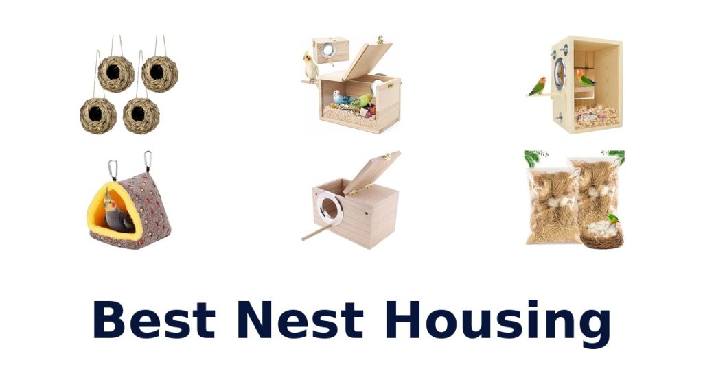Best Nest Housing