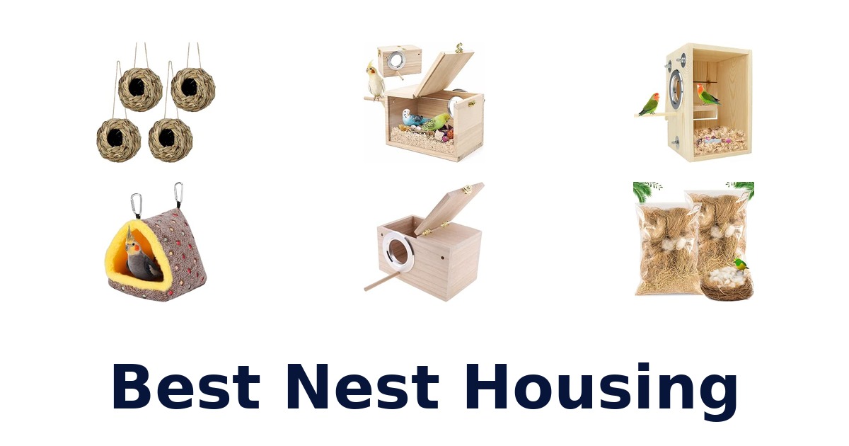 Best Nest Housing