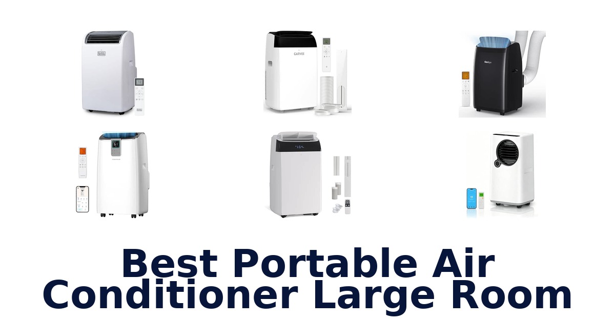 Best Portable Air Conditioner Large Room