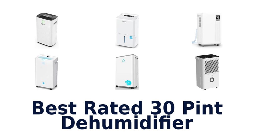 Best Rated 30 Pint Dehumidifier