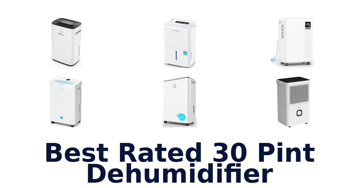 Best Rated 30 Pint Dehumidifier