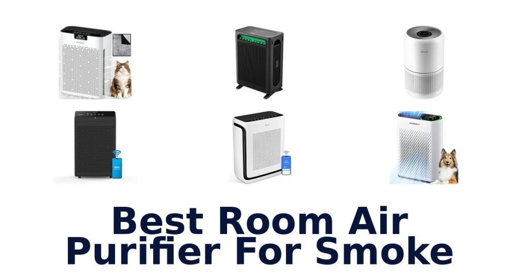Best Room Air Purifier For Smoke