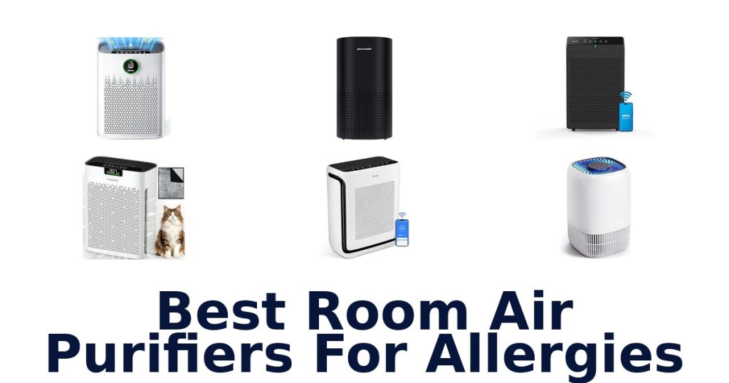 Best Room Air Purifiers For Allergies
