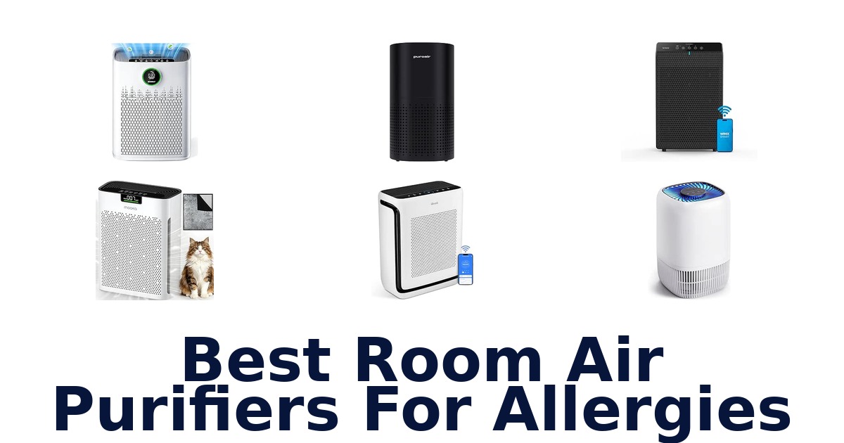 Best Room Air Purifiers For Allergies