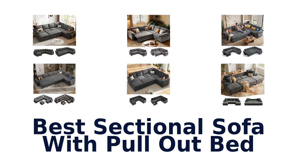 Best Sectional Sofa With Pull Out Bed