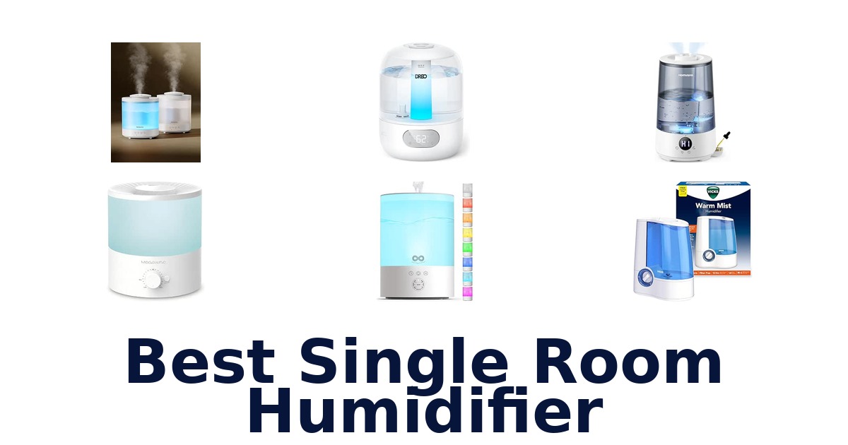 Best Single Room Humidifier