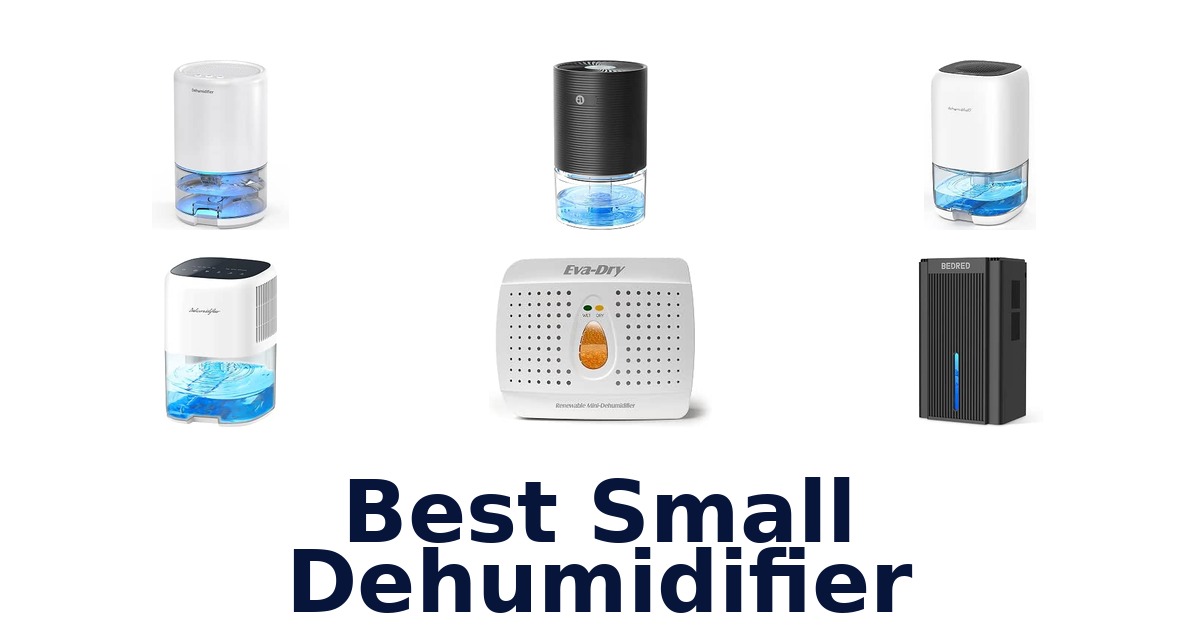 Best Small Dehumidifier