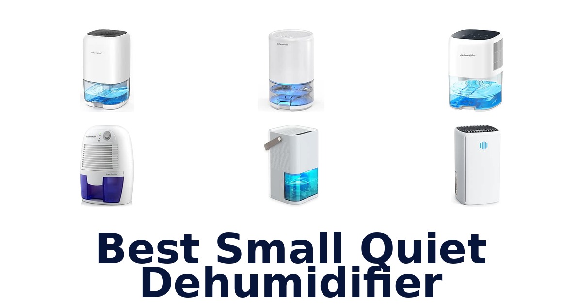 Best Small Quiet Dehumidifier