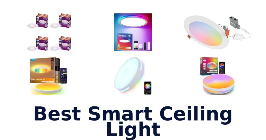 Best Smart Ceiling Light