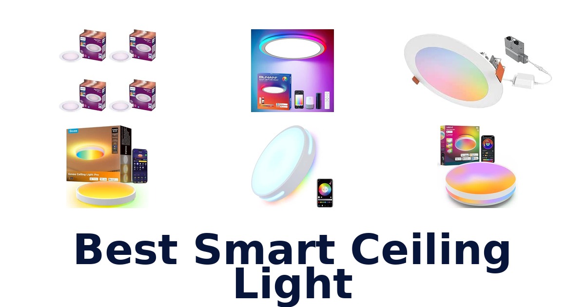 Best Smart Ceiling Light