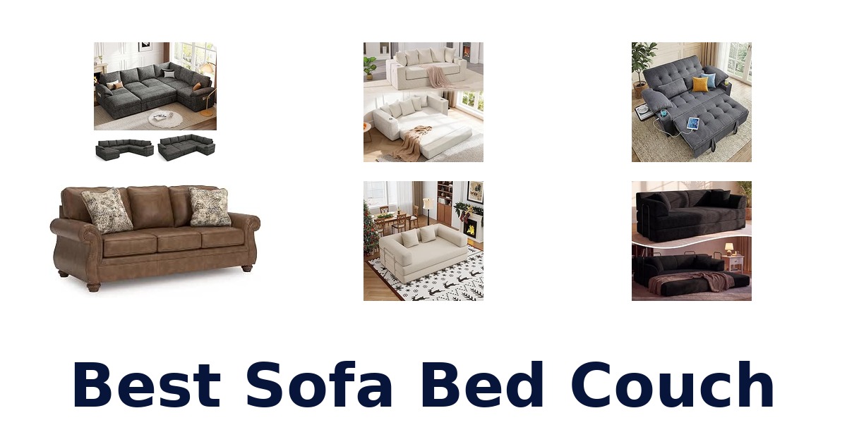 Best Sofa Bed Couch