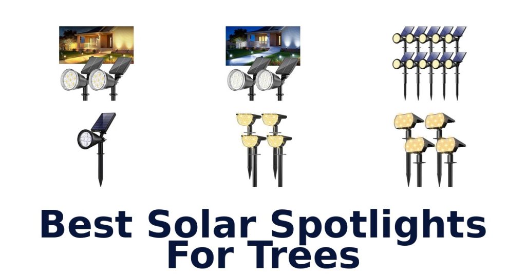 Best Solar Spotlights For Trees