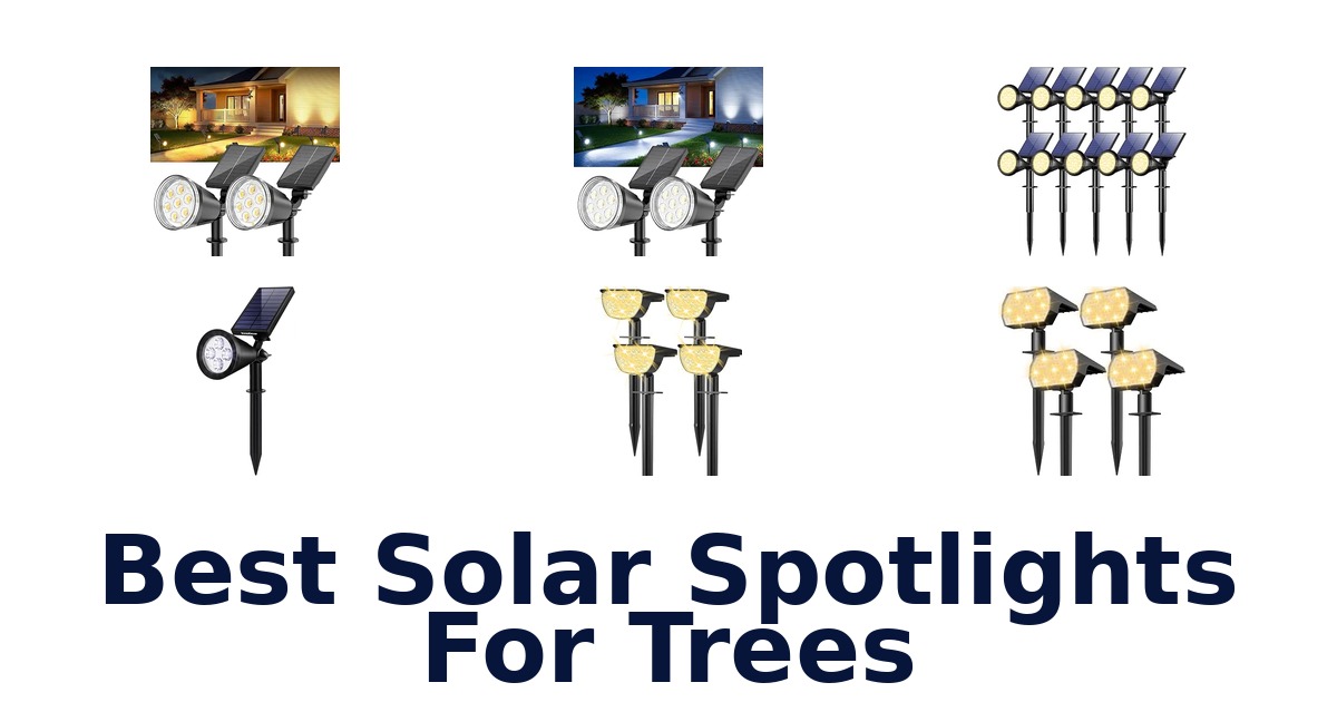 Best Solar Spotlights For Trees