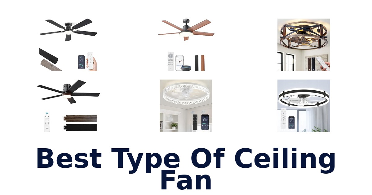 Best Type Of Ceiling Fan