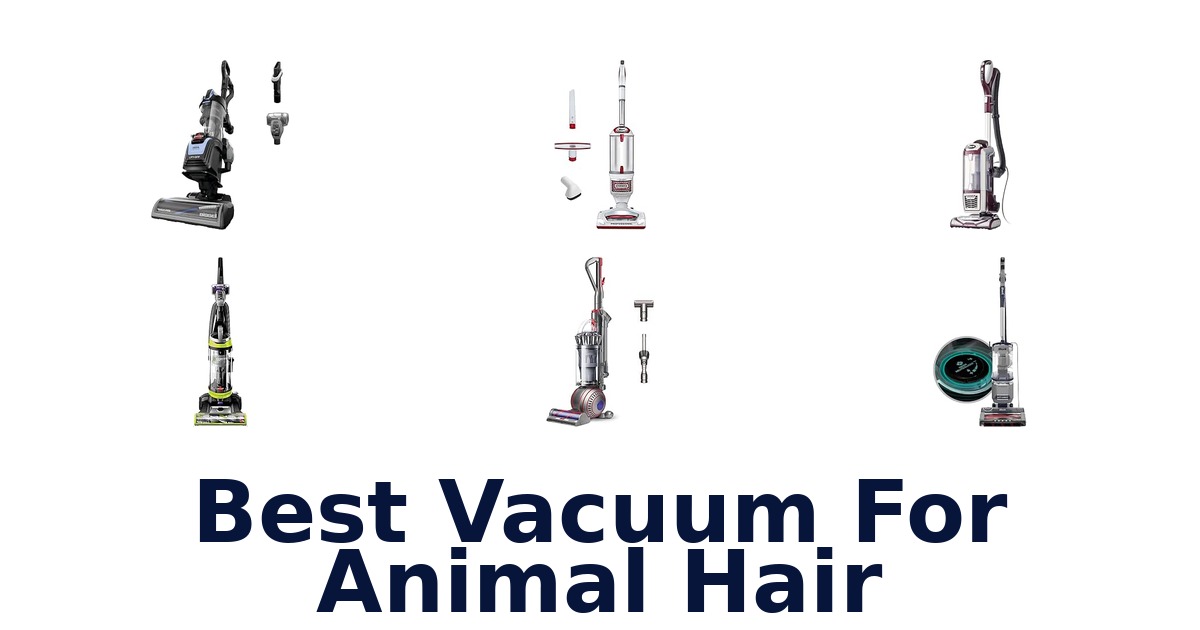 Best Vacuum For Animal Hair