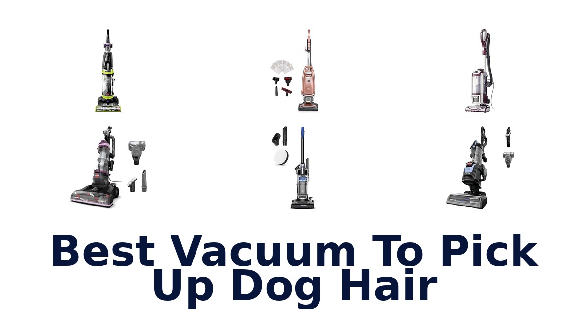 Best Vacuum To Pick Up Dog Hair