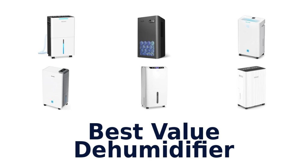 Best Value Dehumidifier