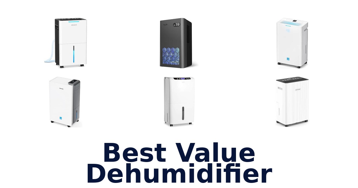 Best Value Dehumidifier