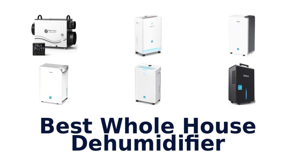 Best Whole House Dehumidifier