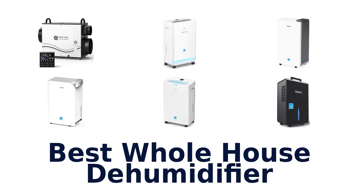 Best Whole House Dehumidifier