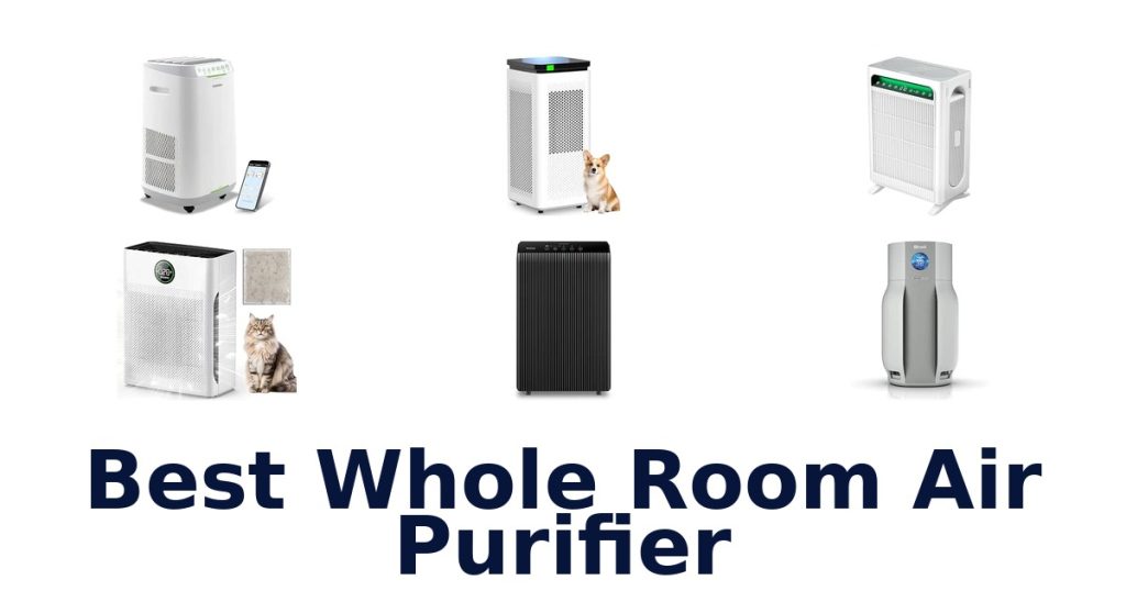 Best Whole Room Air Purifier